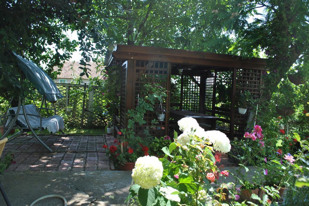 Pensiunea Anda Tulcea Exterior foto