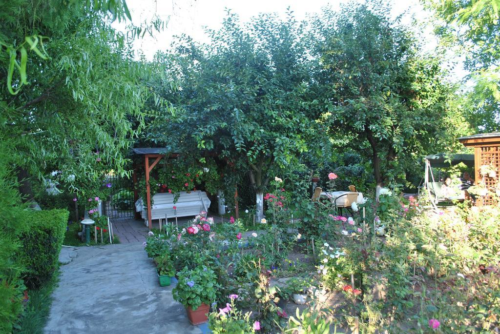 Pensiunea Anda Tulcea Exterior foto